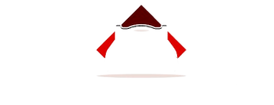 logo blanco